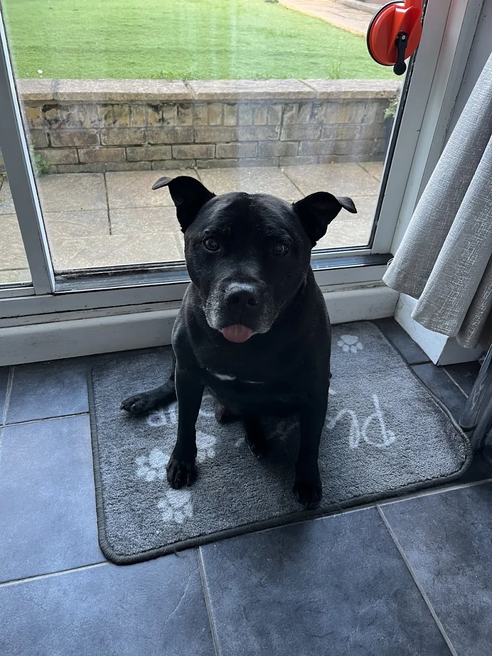 Davanden Kennels - Kent pet otel