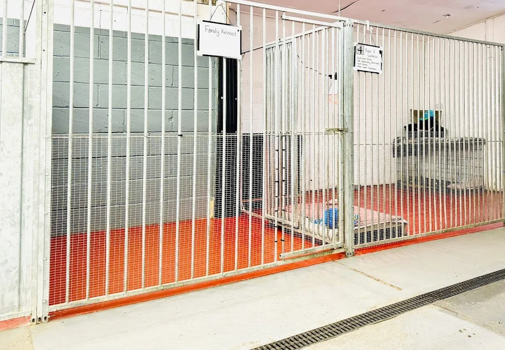 Luxury dog kennels - Kent pet otel görseli 2