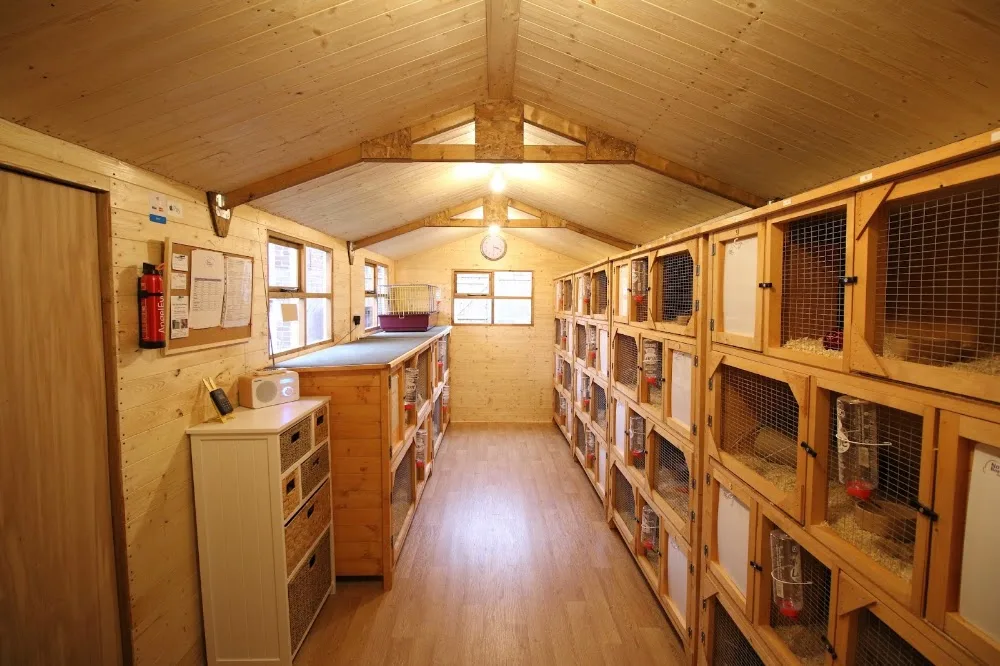 Now Boarding Pet Hotels Medway - Kent pet otel