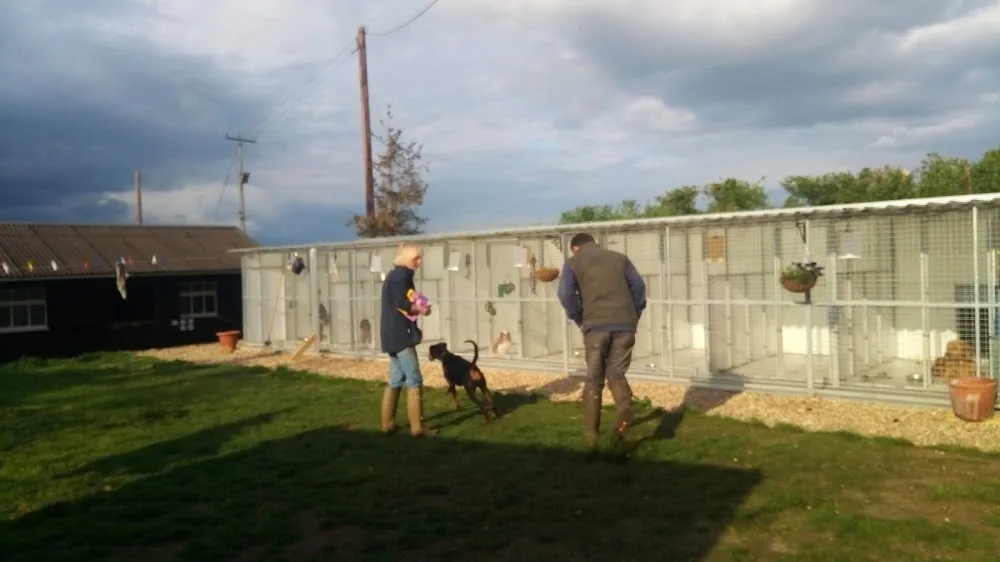 Red House Kennel - Kent pet otel görseli 2
