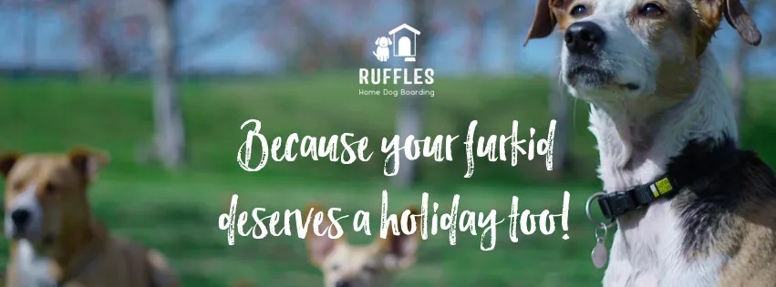 Ruffles Dogs - Kent pet otel görseli 2