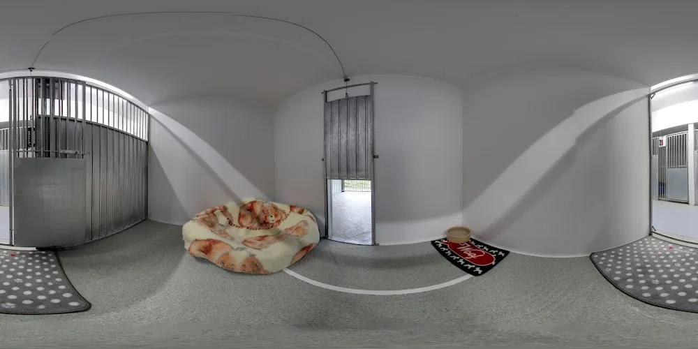 The Nook Pet Hotel - Kent pet otel görseli 3