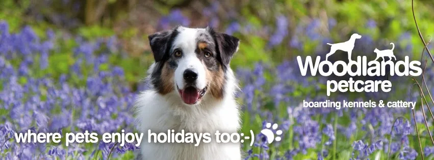 Woodlands Pet Care - Boarding Kennels & Cattery - Kent pet otel