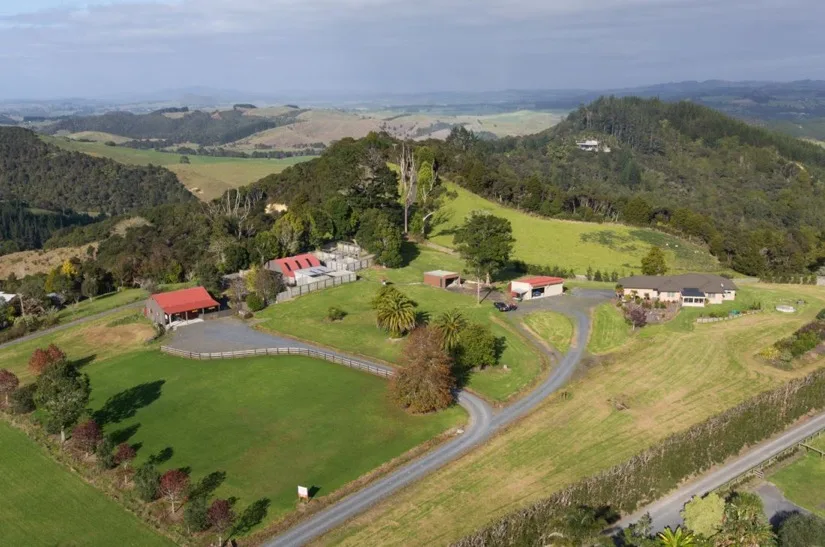 Daisy Downs For Dogs - Kerikeri pet otel görseli 3
