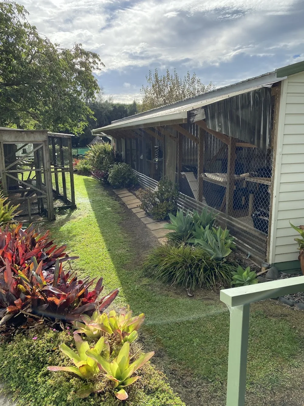 Happy Cat Lodge - boarding cattery - Kerikeri pet otel