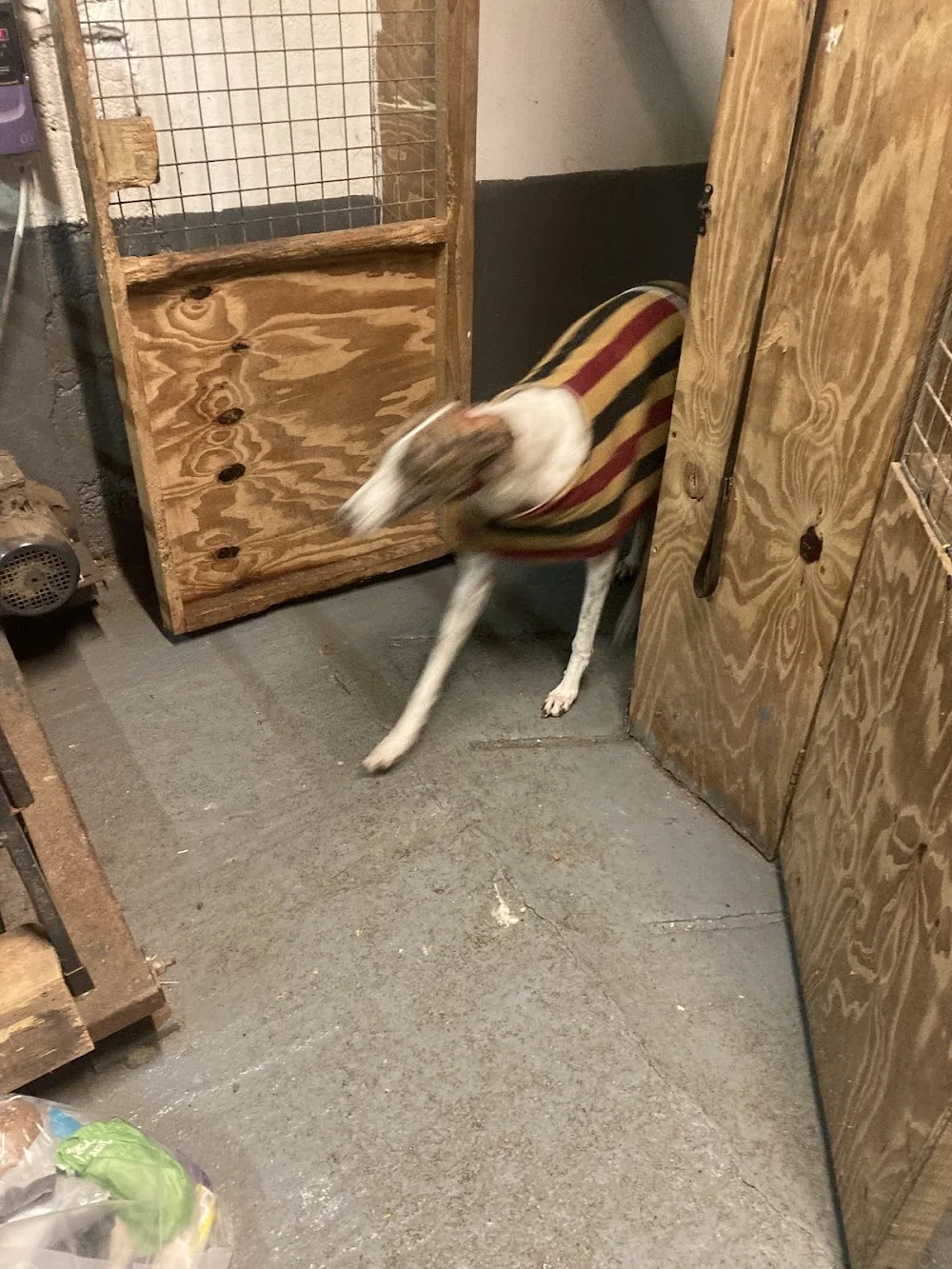 Caher Kennels - Kerry pet otel