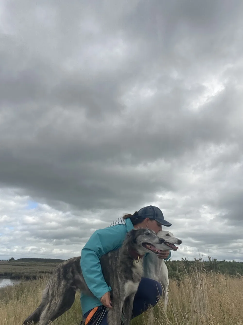 Cat Goes Walkies - Kerry pet otel