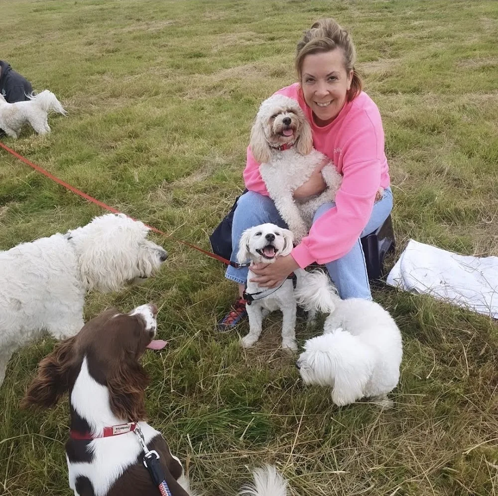 Little Paws Pet Hotel Killarney - Kerry pet otel görseli 3