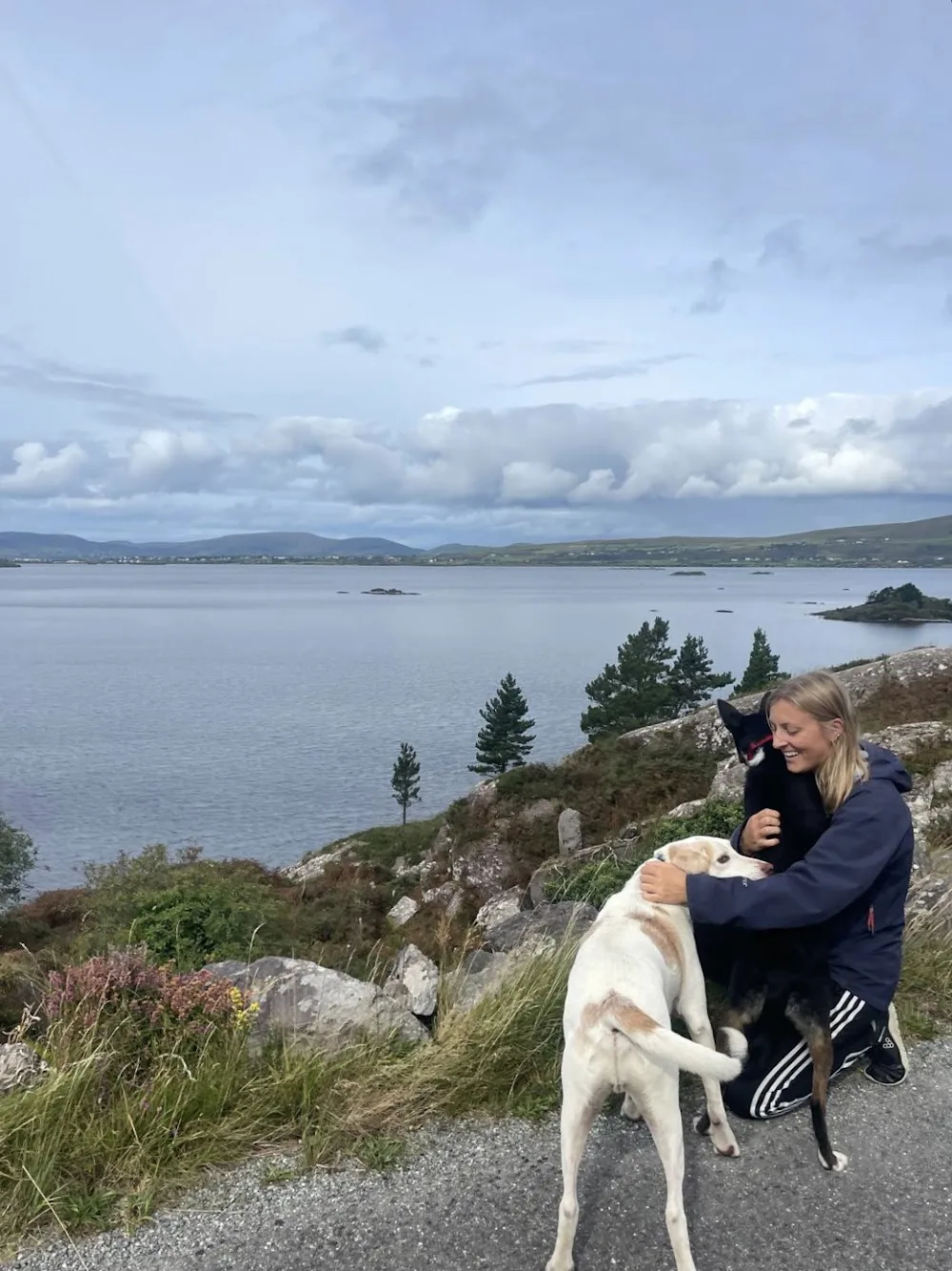 Petsitting and Housesitting South Kerry - Kerry pet otel