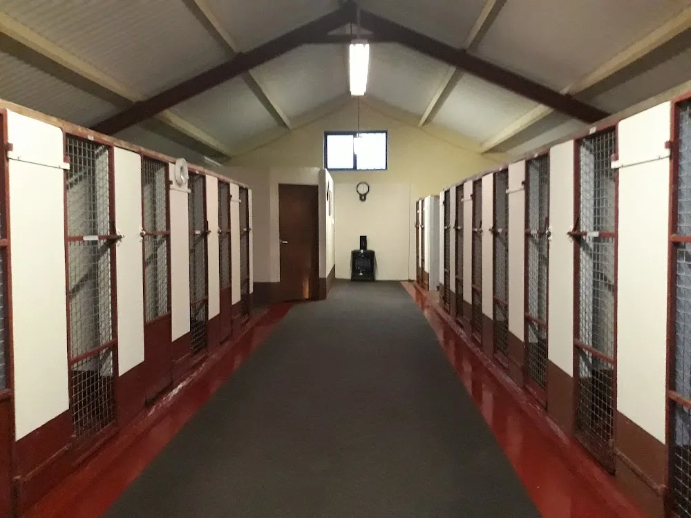 Prospectors Boarding Kennels - Kerry pet otel görseli 3
