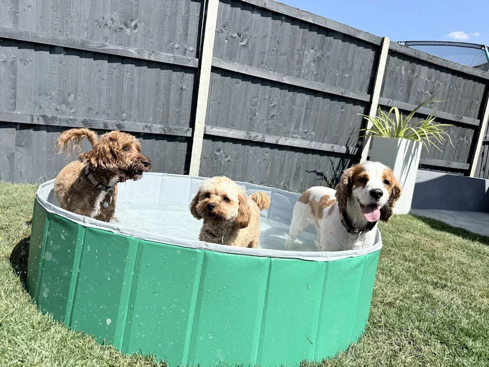 Dog Tails Boarding and Walking - Kettering pet otel