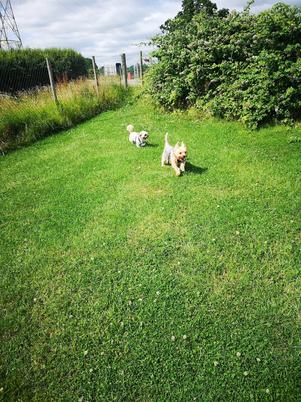 Harkers Barkers - Kettering pet otel
