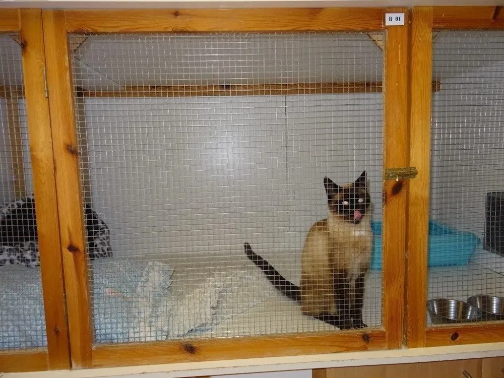 Hazel Tree Country Boarding Kennels - Kettering pet otel