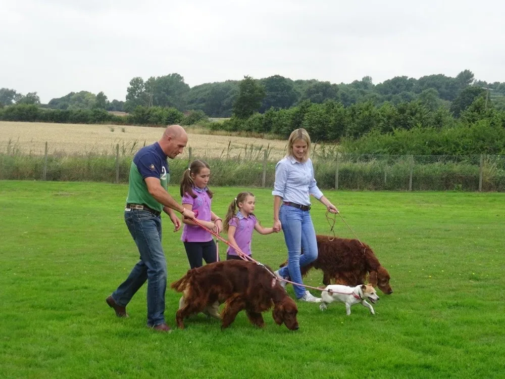 Hazel Tree Country Boarding Kennels - Kettering pet otel görseli 3