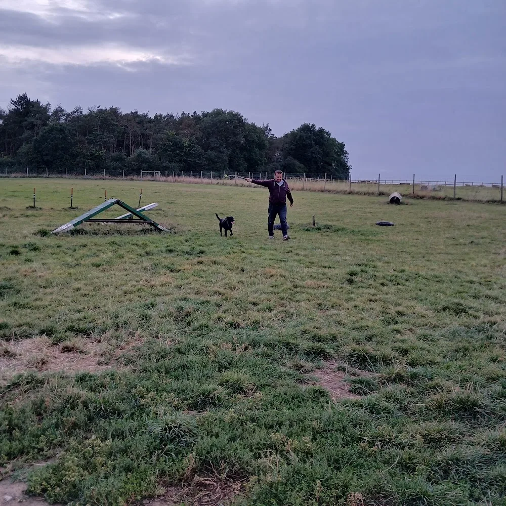 Low Farm Equestrian, Dog Paddock, Dog Training, Cattery & Kennels - Kettering pet otel görseli 3
