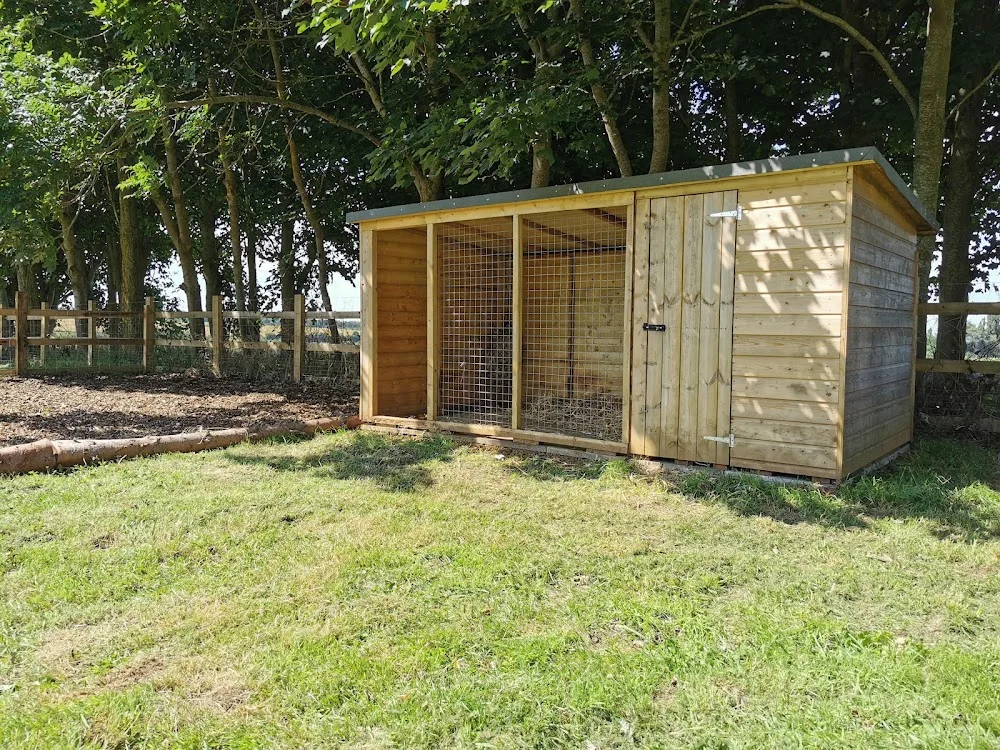 Pampered Pigs - Kettering pet otel