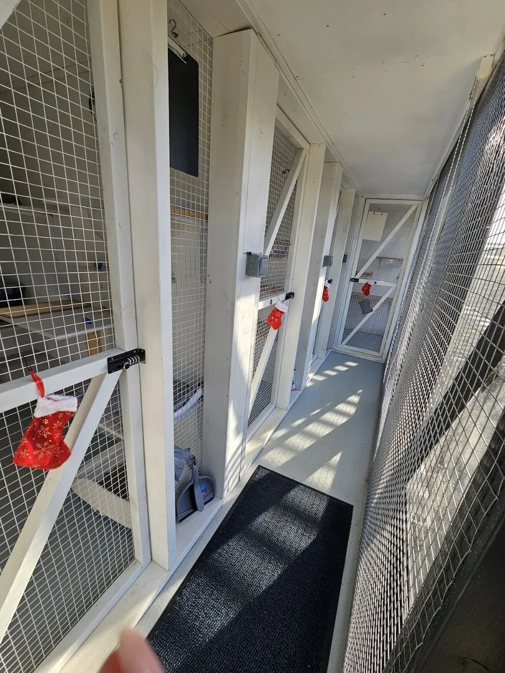 Purrchester Cat & Small Animal Hotel - Kettering pet otel