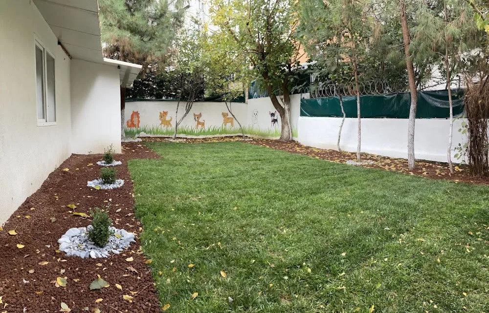 Keyifli Patim | Köpek Oteli | Köpek Pansiyonu | Pet Otel - Istanbul pet otel görseli 11
