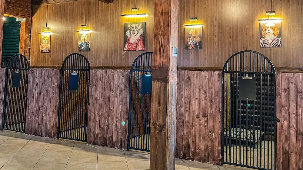 DOG PALACE - Одеський готель для собак - Khersonska pet otel