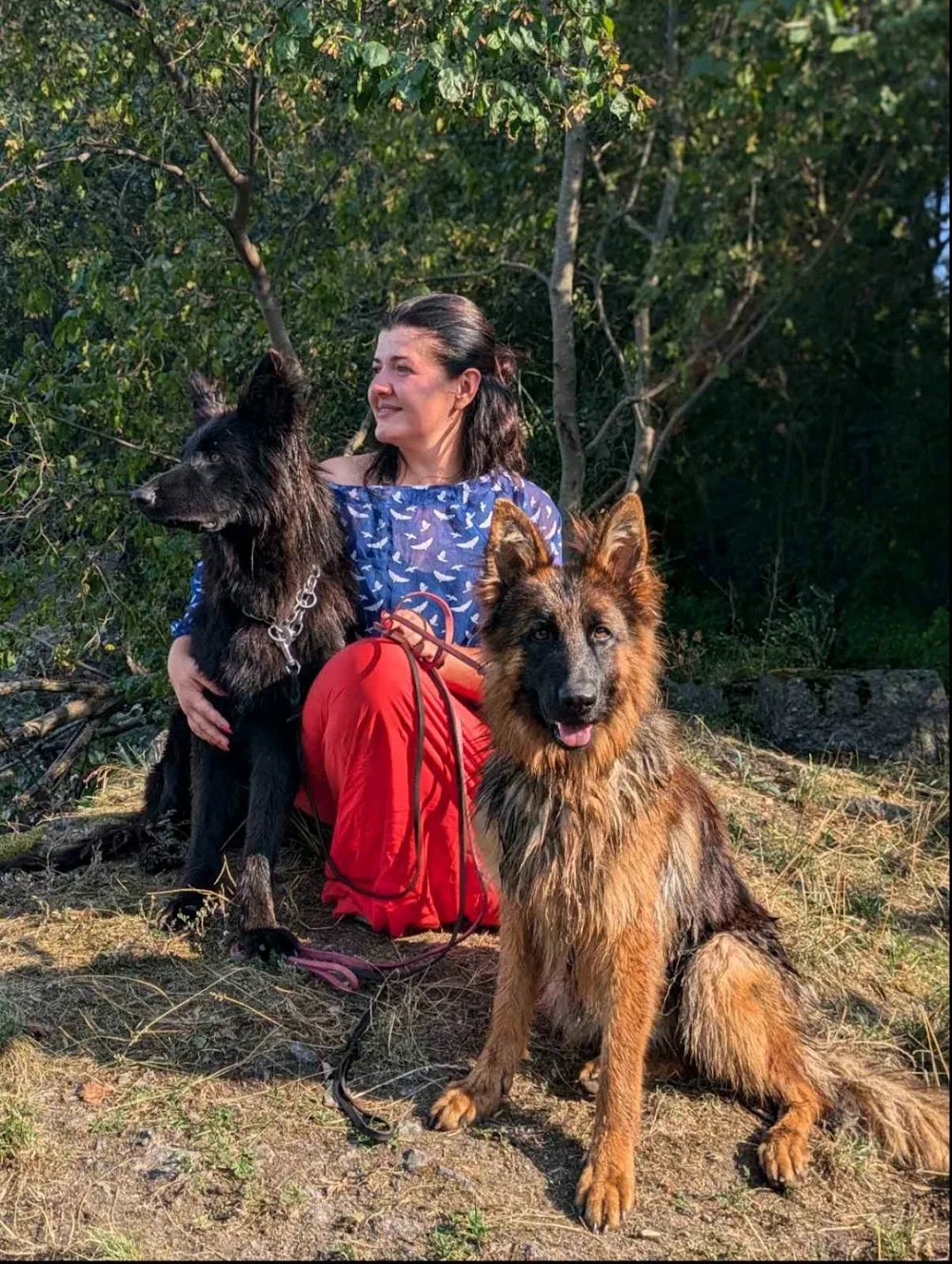 Готель для собак Ofeliya Dog Hotel - Khersonska pet otel görseli 6