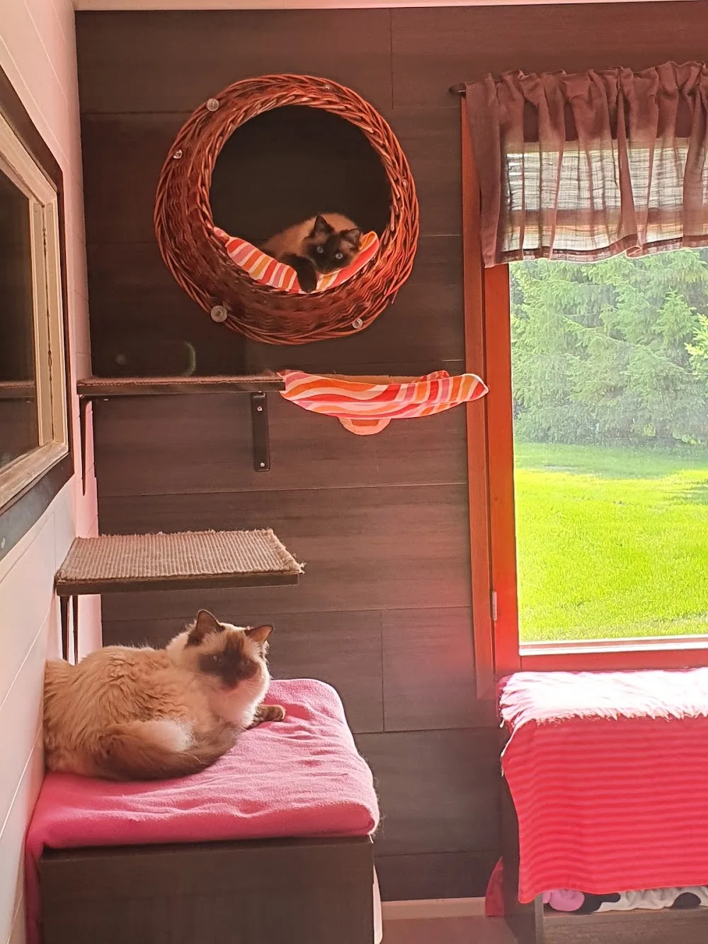 Jokiniemen Kissahoitola - Kiiminki pet otel