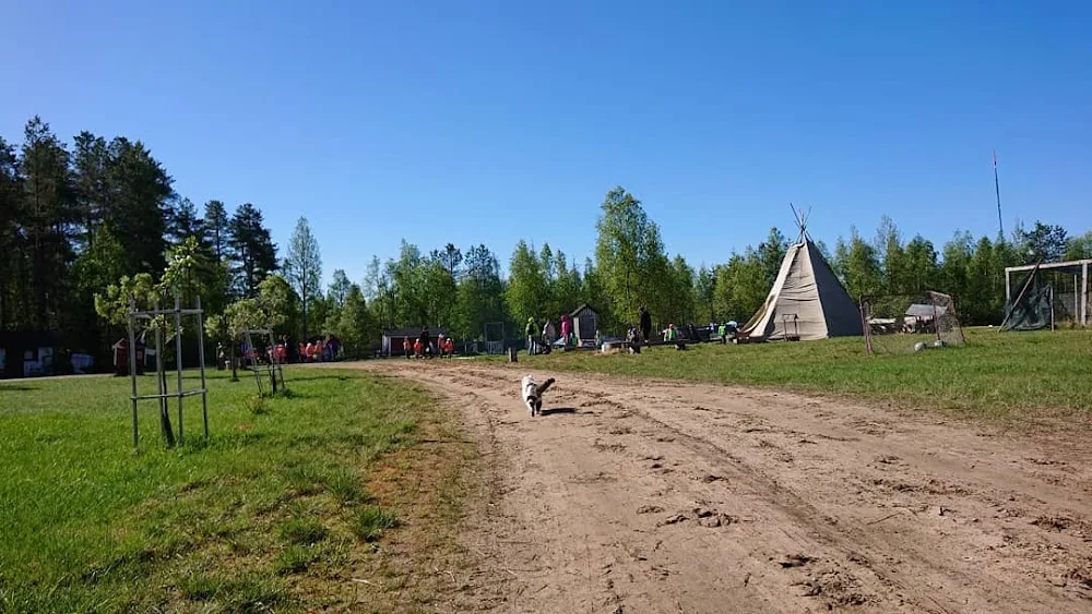 Koirahoitola / WillaHillan Eläinpalvelut - Kiiminki pet otel