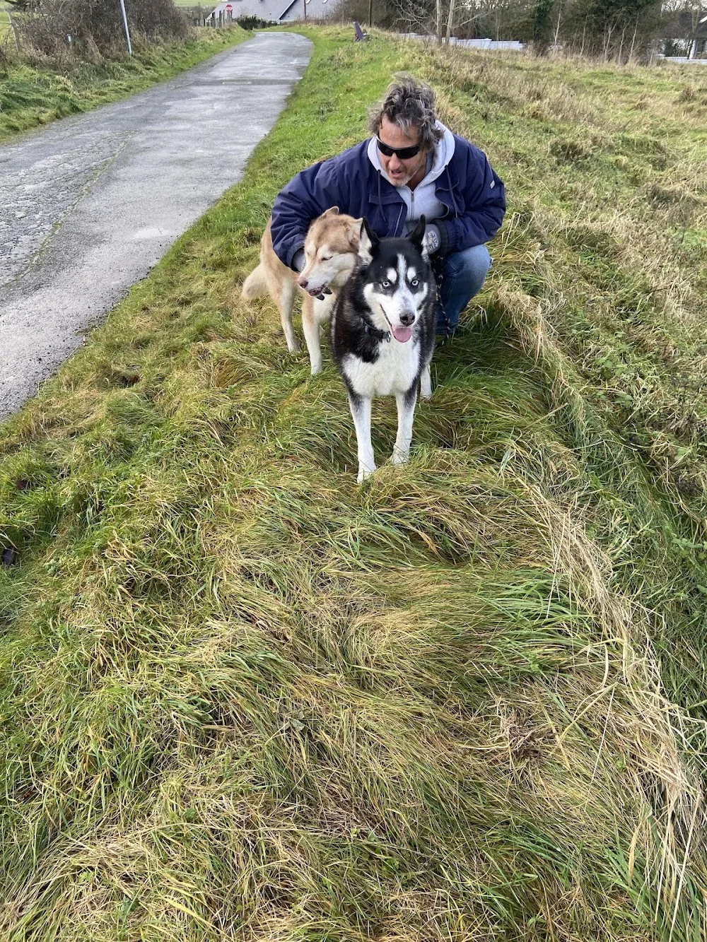Aquilla Boarding Kennels - Kildare pet otel görseli 7
