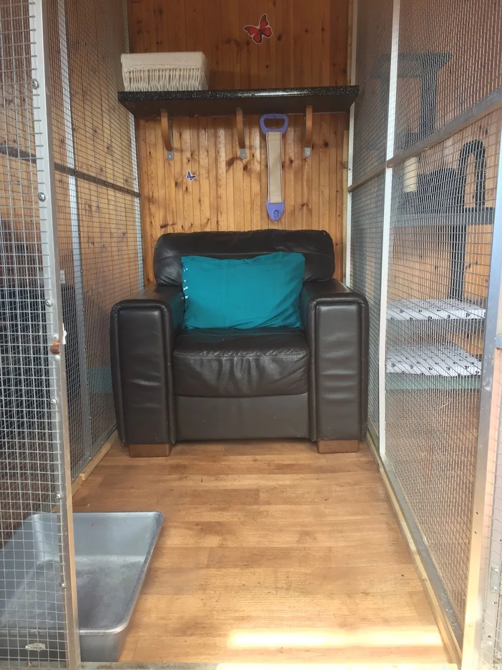 Ballymore Boarding Kennels & Cattery - Kildare pet otel görseli 7