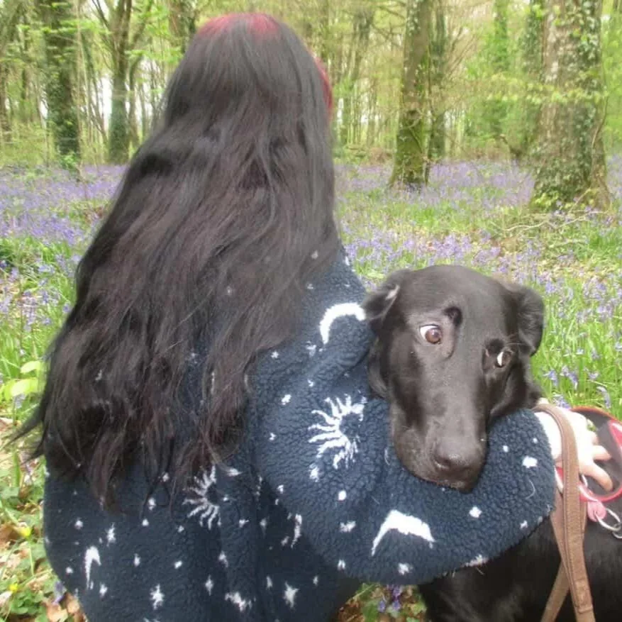 Fluffy Paws Doggie Daycare Ltd - Kildare pet otel görseli 5