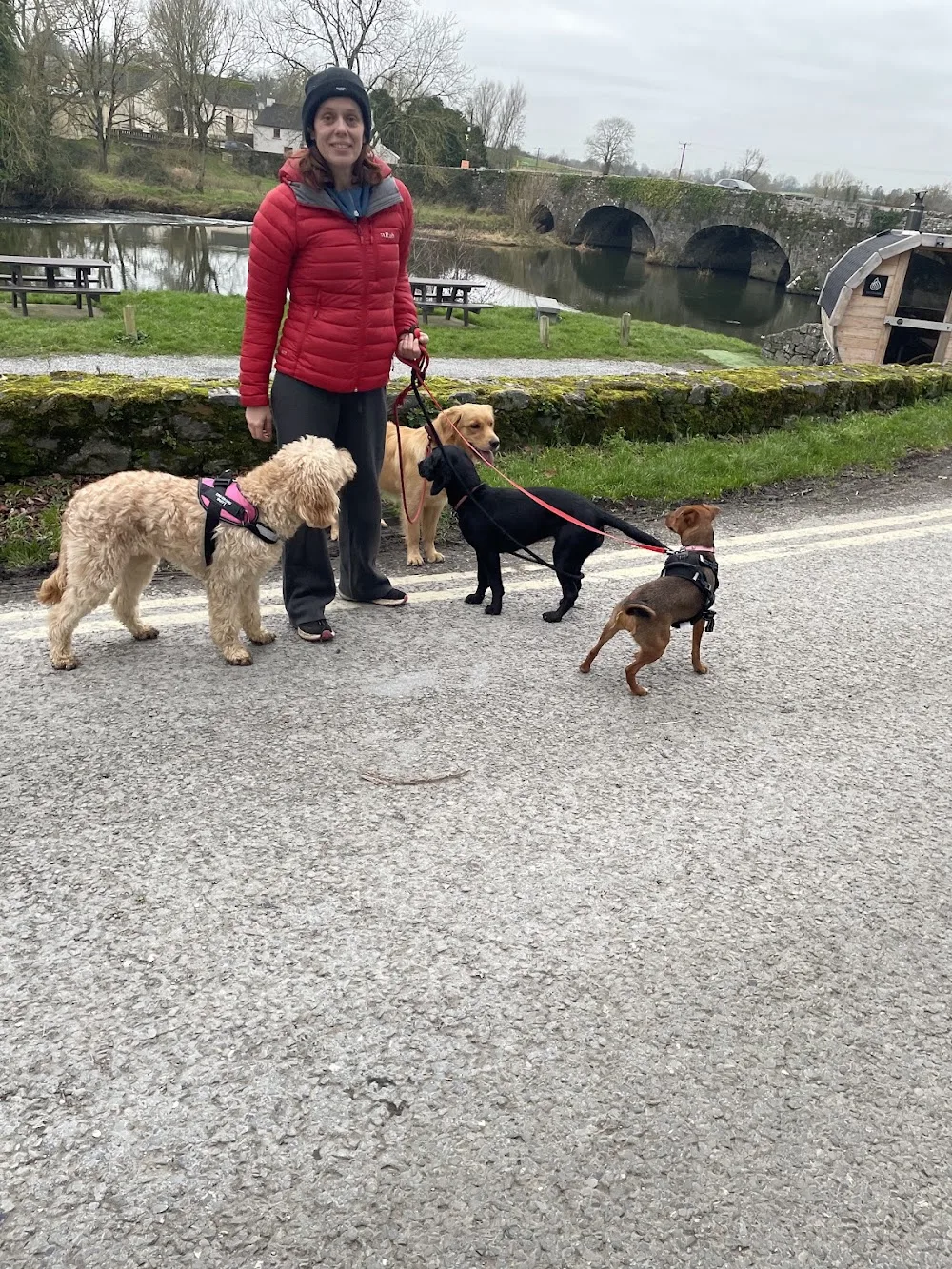 Apex doggie daycare and boarding kennel. - Kilkenny pet otel görseli 6