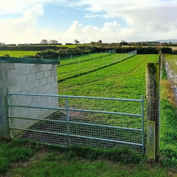 Reid's Boarding Kennels - Kilkenny pet otel