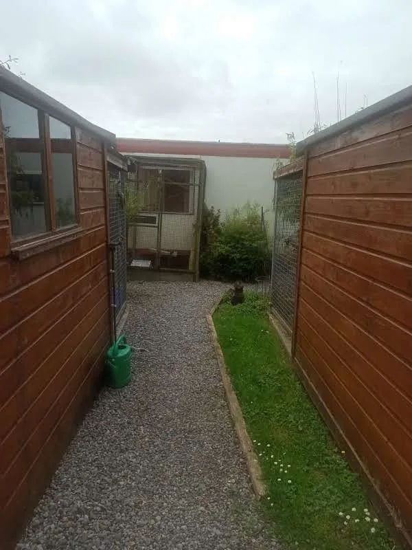 Stoneyford boarding Kennels and Cattery - Kilkenny pet otel görseli 19