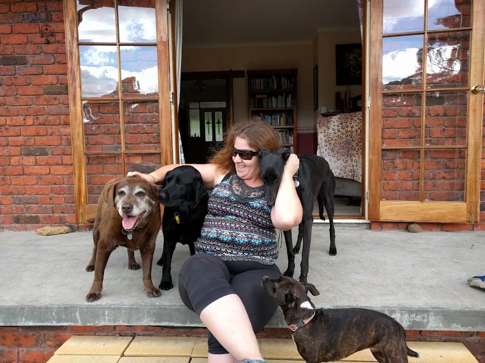 Dogs Holiday Havens - Kingston pet otel görseli 2