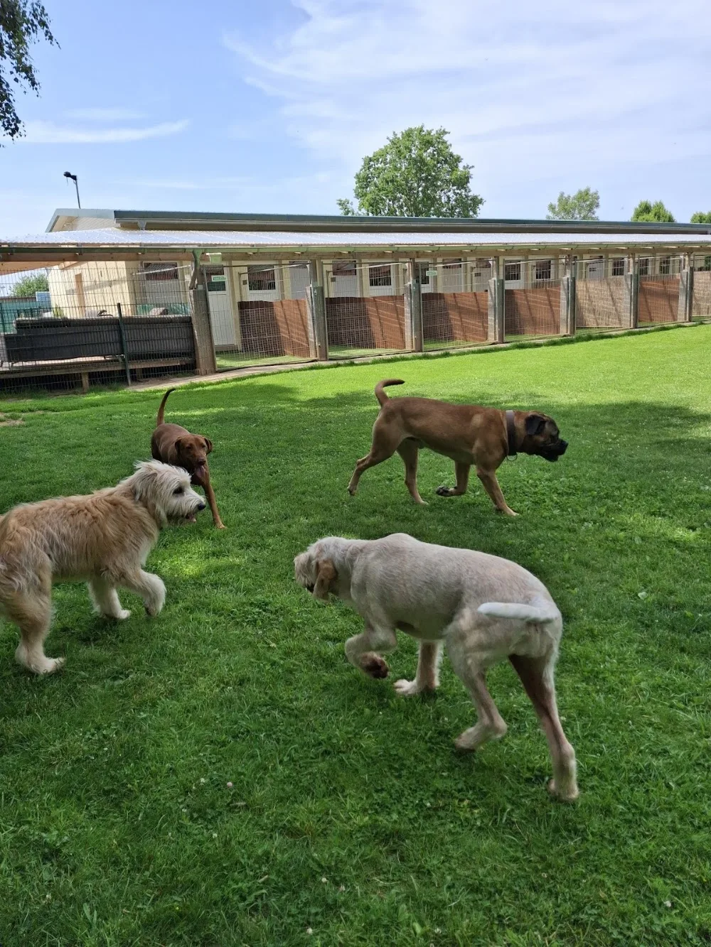 Casa-Hunde - Kirchwald pet otel