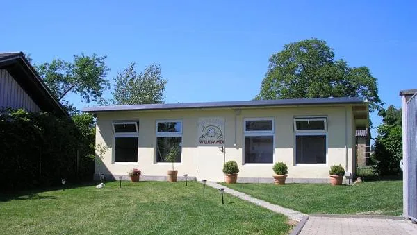 Elkes Katzenpension - Kirchwald pet otel