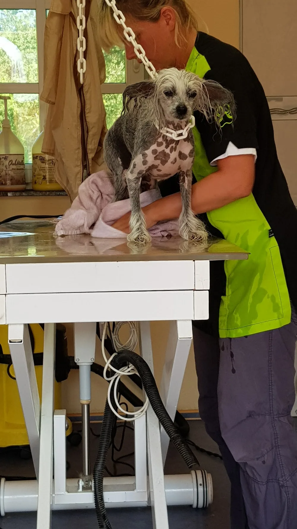 Haus der Hunde, Gabi Lames - Kirchwald pet otel görseli 3