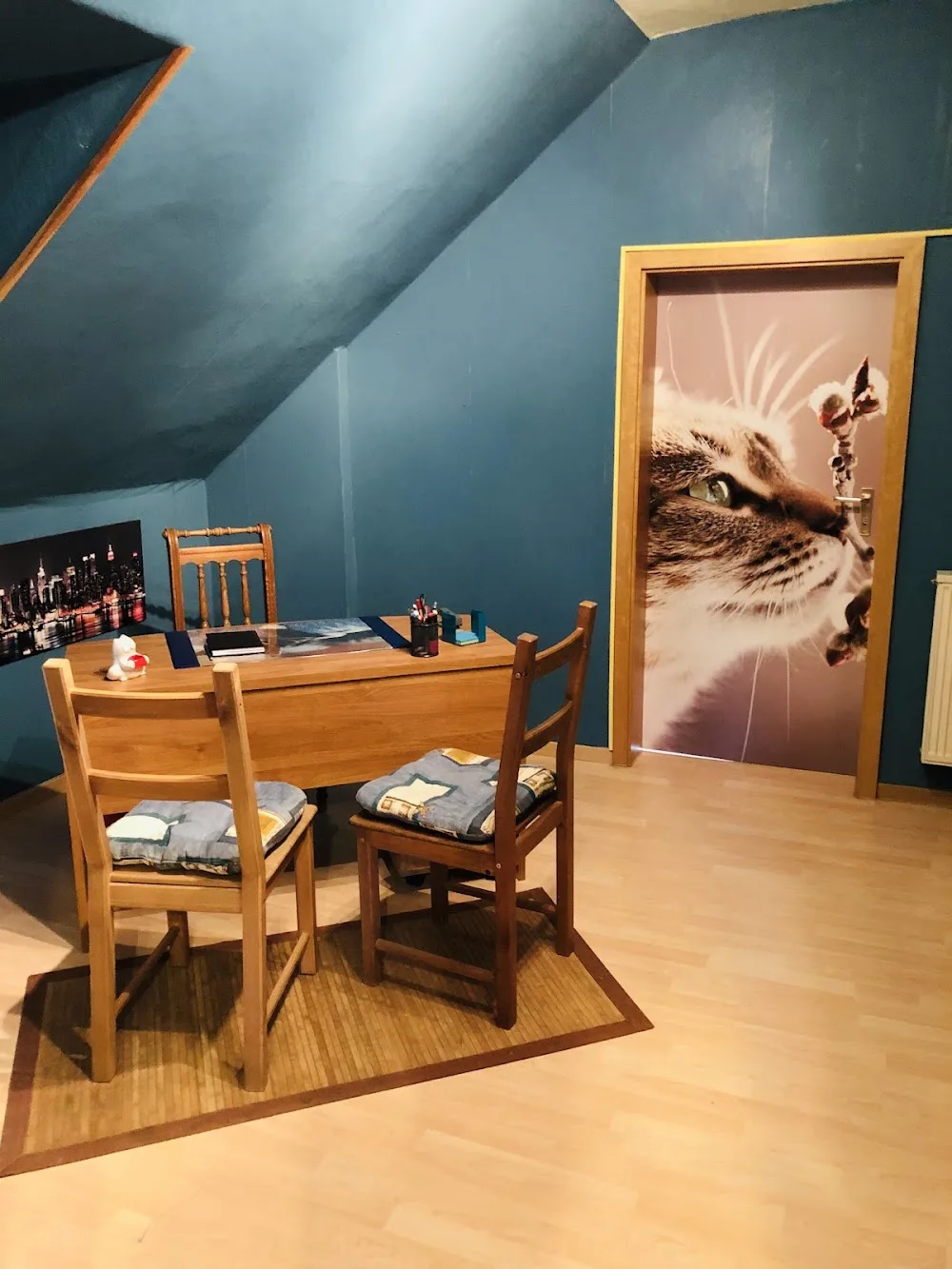 Katzenpension Schmusetiger - Kirchwald pet otel görseli 3
