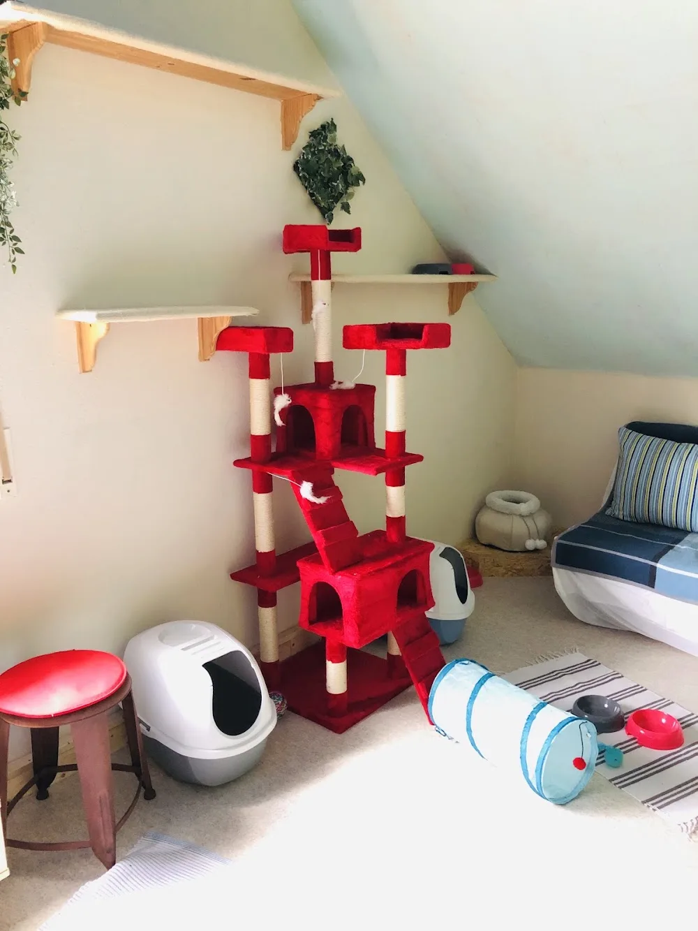 Katzenpension Schmusetiger - Kirchwald pet otel görseli 6