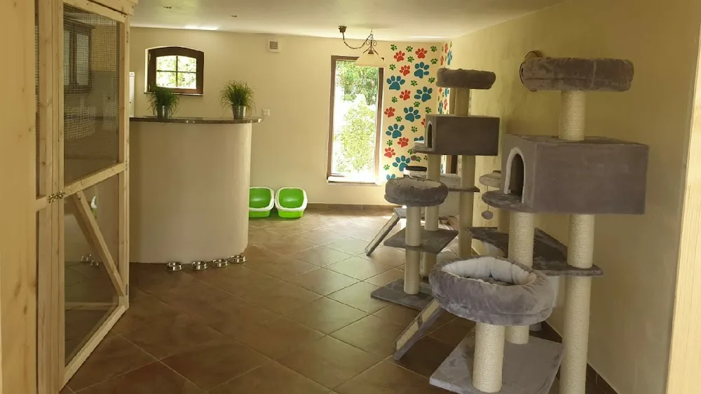Michi's Samtpfoten - Katzenpension Brüning - Kirchwald pet otel görseli 6