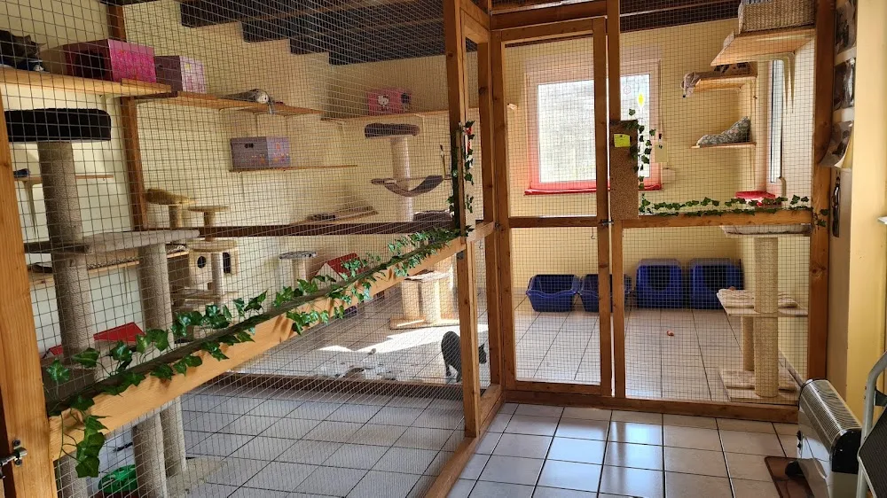 Petra's Katzenparadies - Kirchwald pet otel görseli 6
