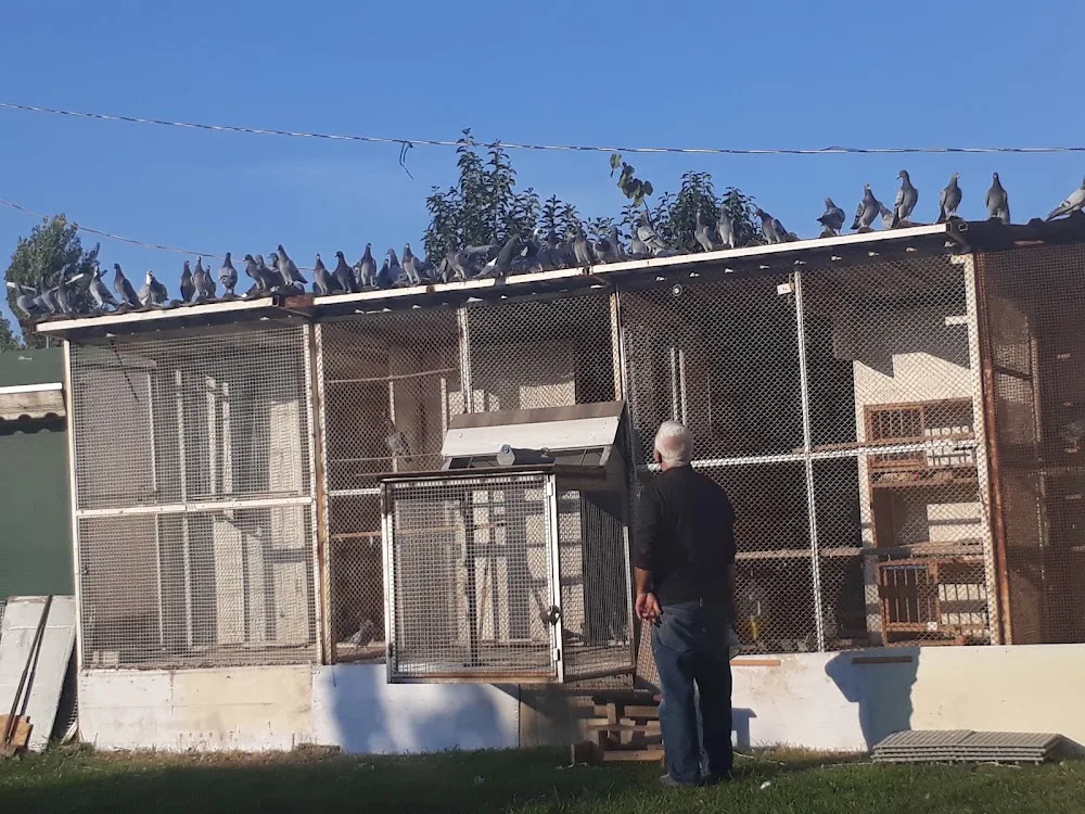Kırklareli Kennel Club - Kırklareli pet otel