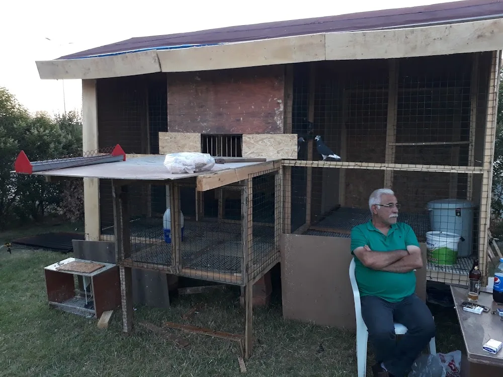 Kırklareli Kennel Club - Kırklareli pet otel görseli 3