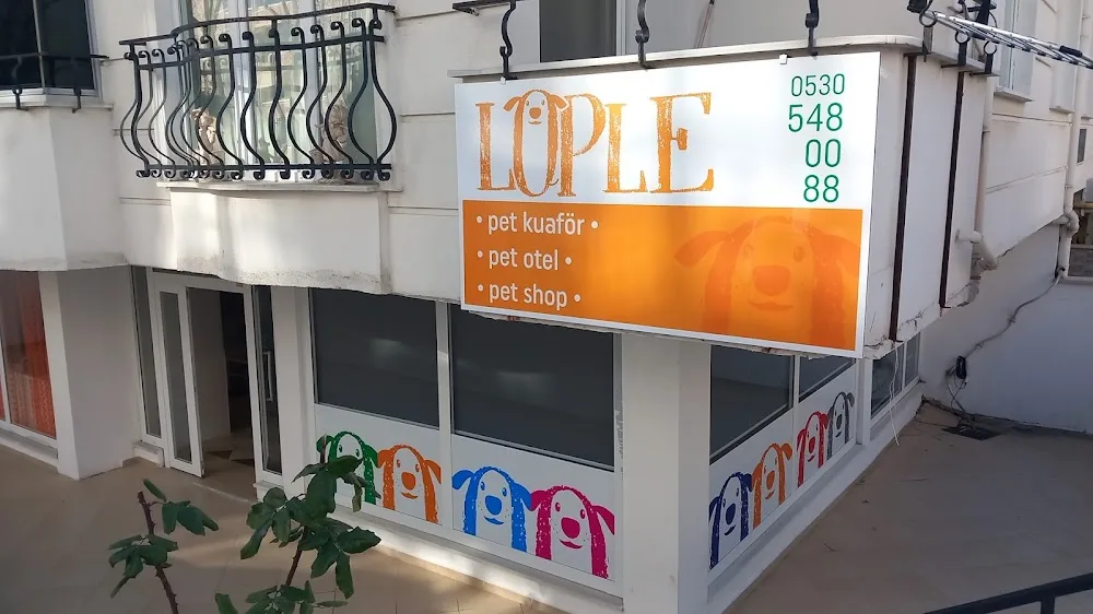 Löple pet otel kuaför - Kırklareli pet otel görseli 2