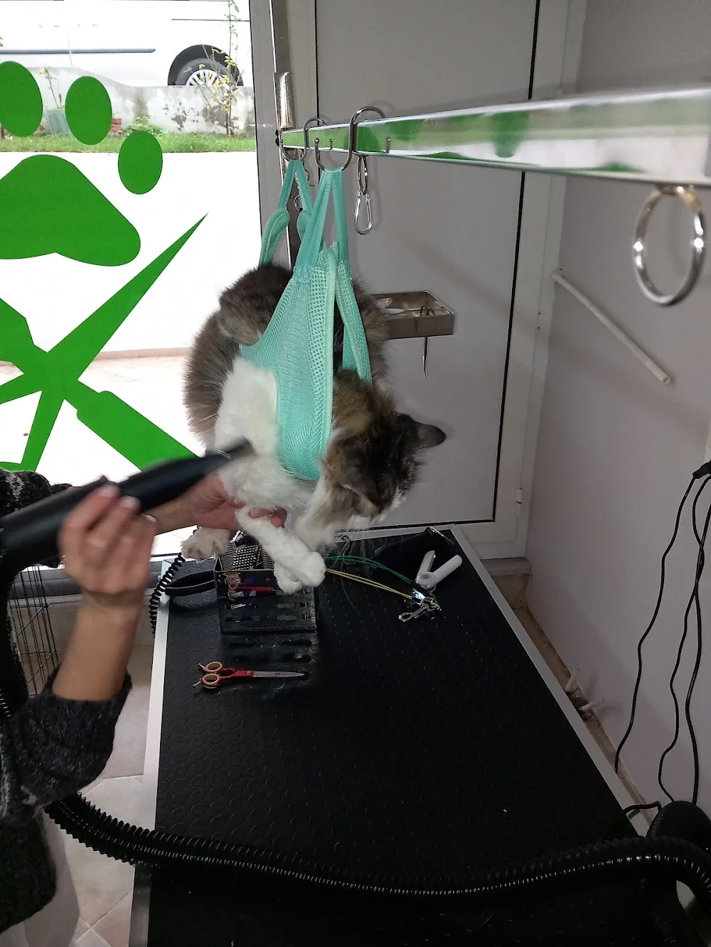 Löple pet otel kuaför - Kırklareli pet otel görseli 3