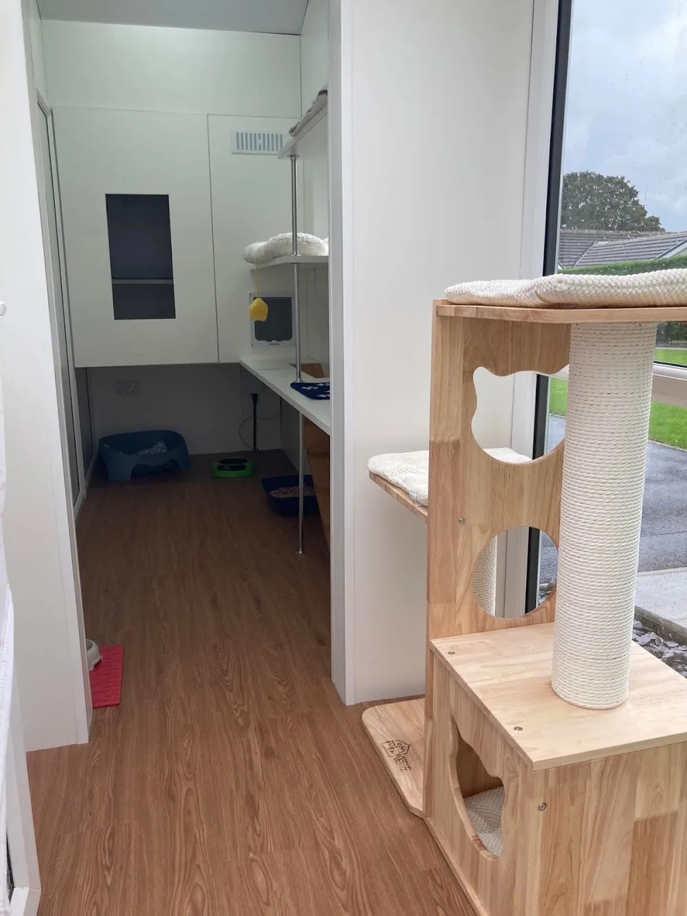 Acer Lodge Cattery - Kirklees pet otel