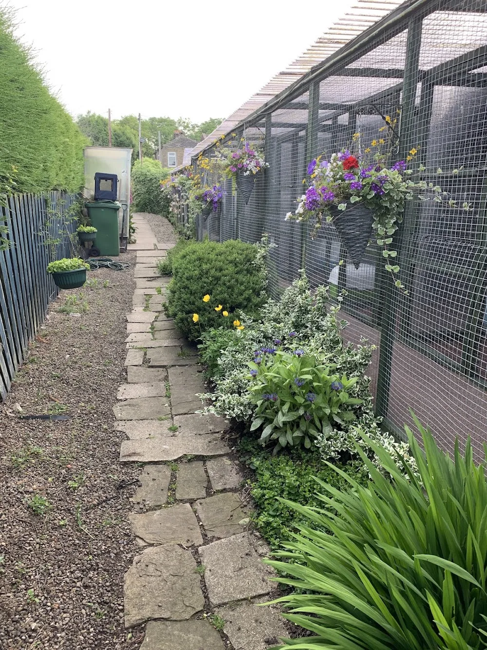 Andilees Boarding Cattery - Kirklees pet otel görseli 3