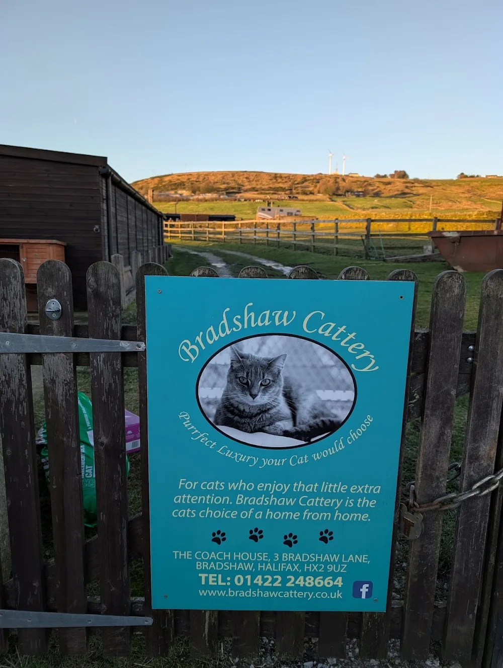 Bradshaw Cattery - Kirklees pet otel görseli 3