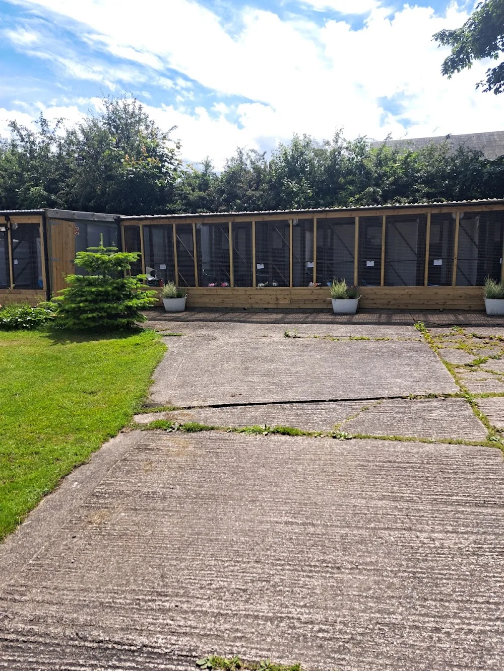 Ivy House Cattery - Kirklees pet otel görseli 2