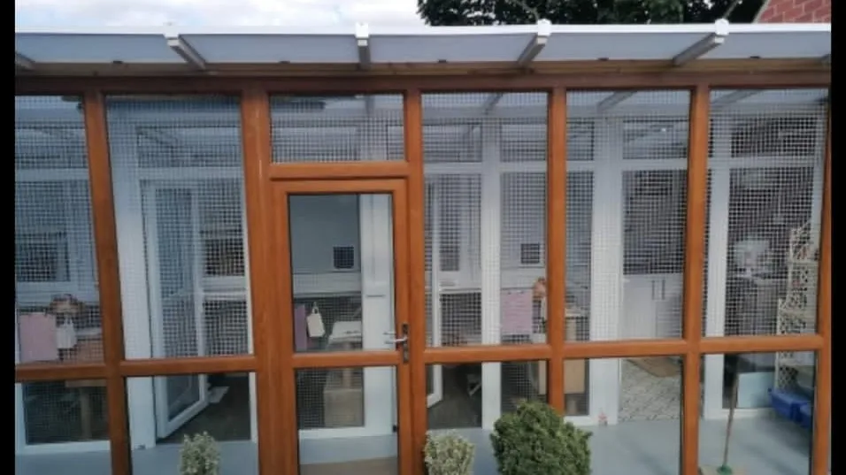 Meow Manor- cat hotel - Kirklees pet otel