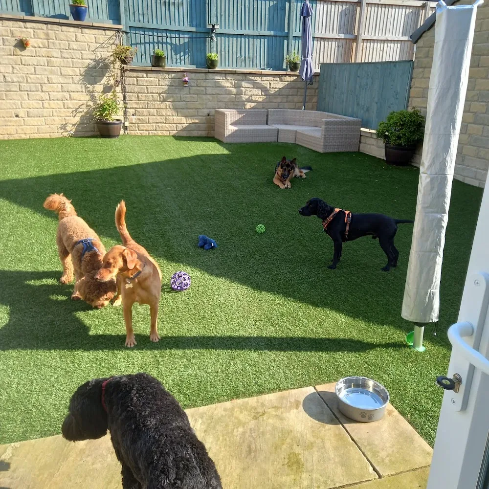 Muddy Paws Wet Noses - Kirklees pet otel görseli 2